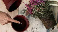 Miksi kukkaruukun pohjassa oleva reikä on niin tärkeä kasvien hyvinvoinnille?