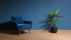 Seitsemän klassista sisustusväriä, jotka tekevät kodistasi hetkessä elegantin näköisen